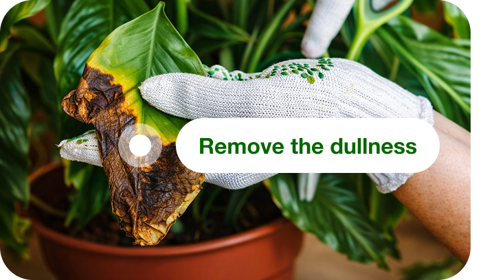 Use environment tools